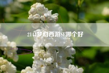 2144梦幻西游SF哪个好