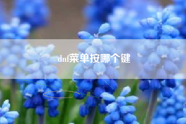 dnf菜单按哪个键