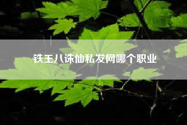 铁王八诛仙私发网哪个职业