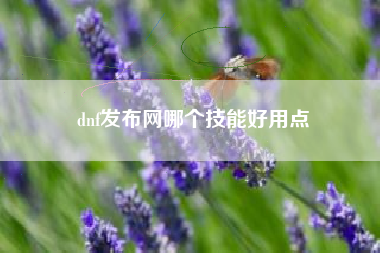 dnf发布网哪个技能好用点