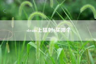 steam上辐射4买哪个