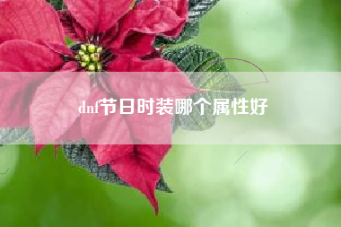 dnf节日时装哪个属性好