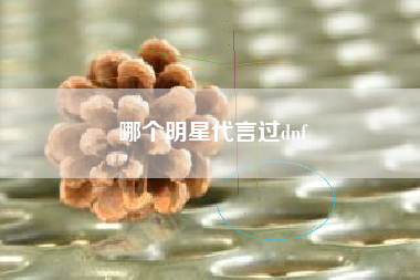 哪个明星代言过dnf