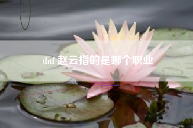 dnf 赵云指的是哪个职业