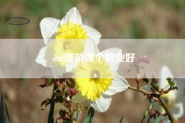 dnf漫游哪个职业好