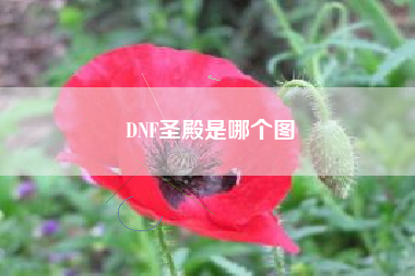 DNF圣殿是哪个图