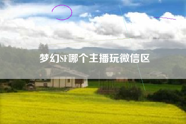 梦幻SF哪个主播玩微信区