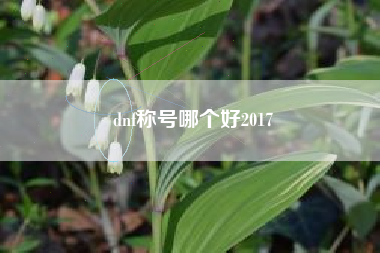 dnf称号哪个好2017