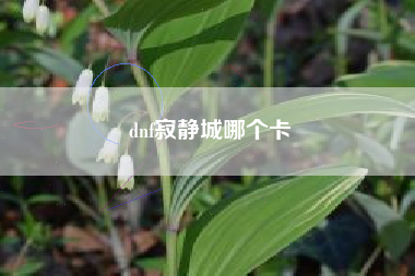 dnf寂静城哪个卡