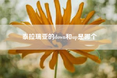 泰拉瑞亚的down和up是哪个