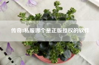 传奇3私服哪个是正版授权的软件