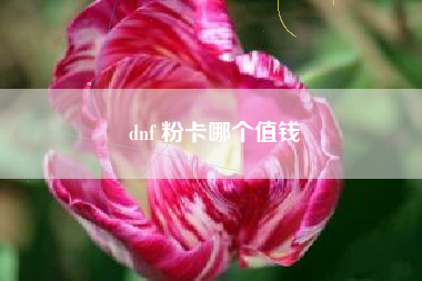 dnf 粉卡哪个值钱