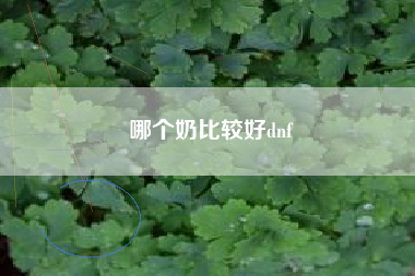 哪个奶比较好dnf