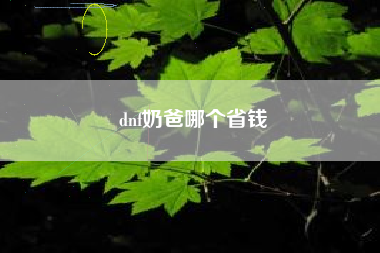 dnf奶爸哪个省钱