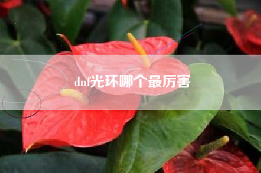 dnf光环哪个最厉害