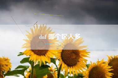 dnf 哪个区人多