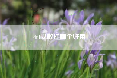 dnf女散打哪个好用