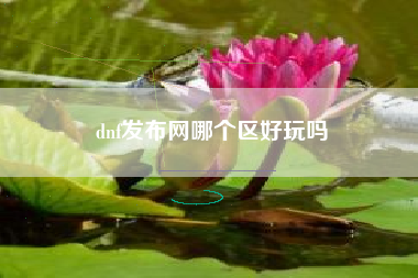 dnf发布网哪个区好玩吗