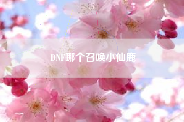 DNF哪个召唤小仙鹿