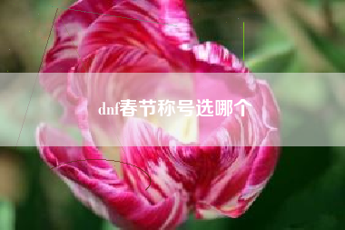 dnf春节称号选哪个