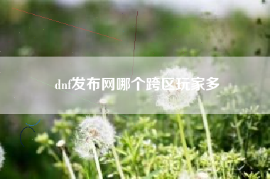 dnf发布网哪个跨区玩家多