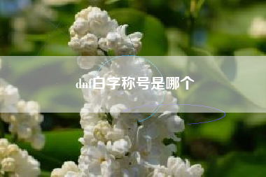 dnf白字称号是哪个