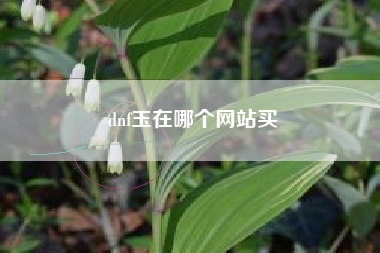 dnf玉在哪个网站买