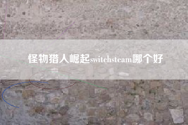 怪物猎人崛起switchsteam哪个好