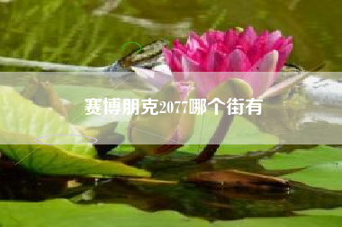 赛博朋克2077哪个街有