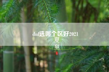 dnf选哪个区好2021