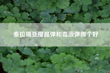 泰拉瑞亚魔晶弹和毒液弹哪个好