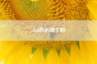 dnf药水哪个好