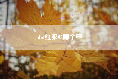 dnf红眼95哪个甲