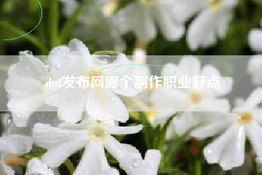 dnf发布网哪个副作职业好点