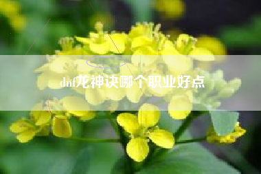 dnf龙神诀哪个职业好点