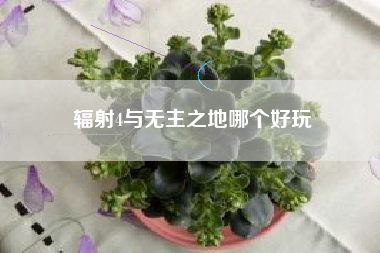 辐射4与无主之地哪个好玩