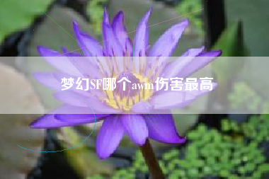 梦幻SF哪个awm伤害最高