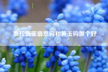 泰拉瑞亚翡翠钩和黄玉钩哪个好