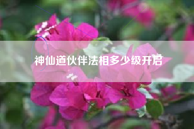 神仙道伙伴法相多少级开启