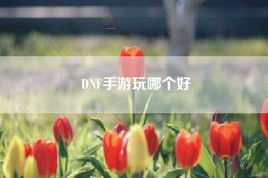 DNF手游玩哪个好