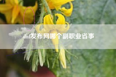 dnf发布网哪个副职业省事