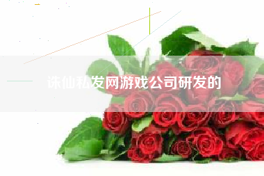 诛仙私发网游戏公司研发的