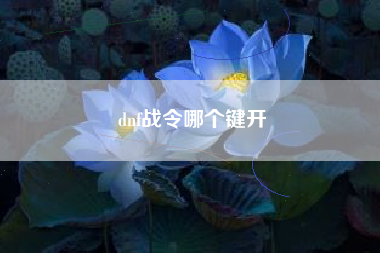 dnf战令哪个键开