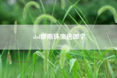 dnf缪斯珠宝选哪个