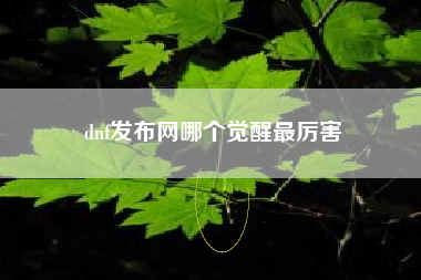 dnf发布网哪个觉醒最厉害