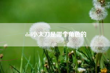 dnf小太刀是哪个角色的