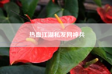 热血江湖私发网神兵