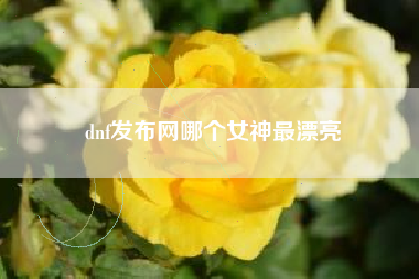 dnf发布网哪个女神最漂亮