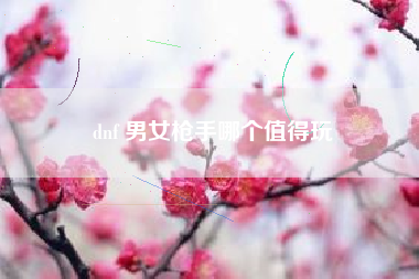 dnf 男女枪手哪个值得玩