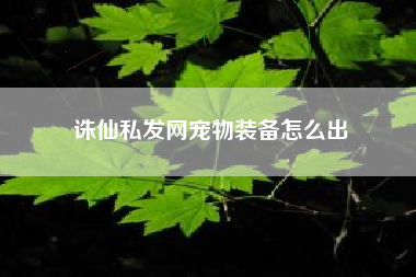 诛仙私发网宠物装备怎么出